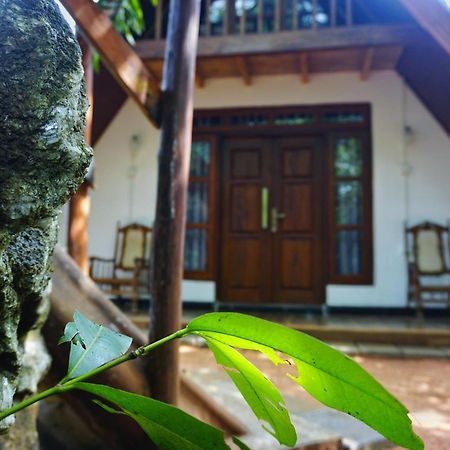 Sigiri Sky Home & Treehouse Sigiriya Exteriör bild