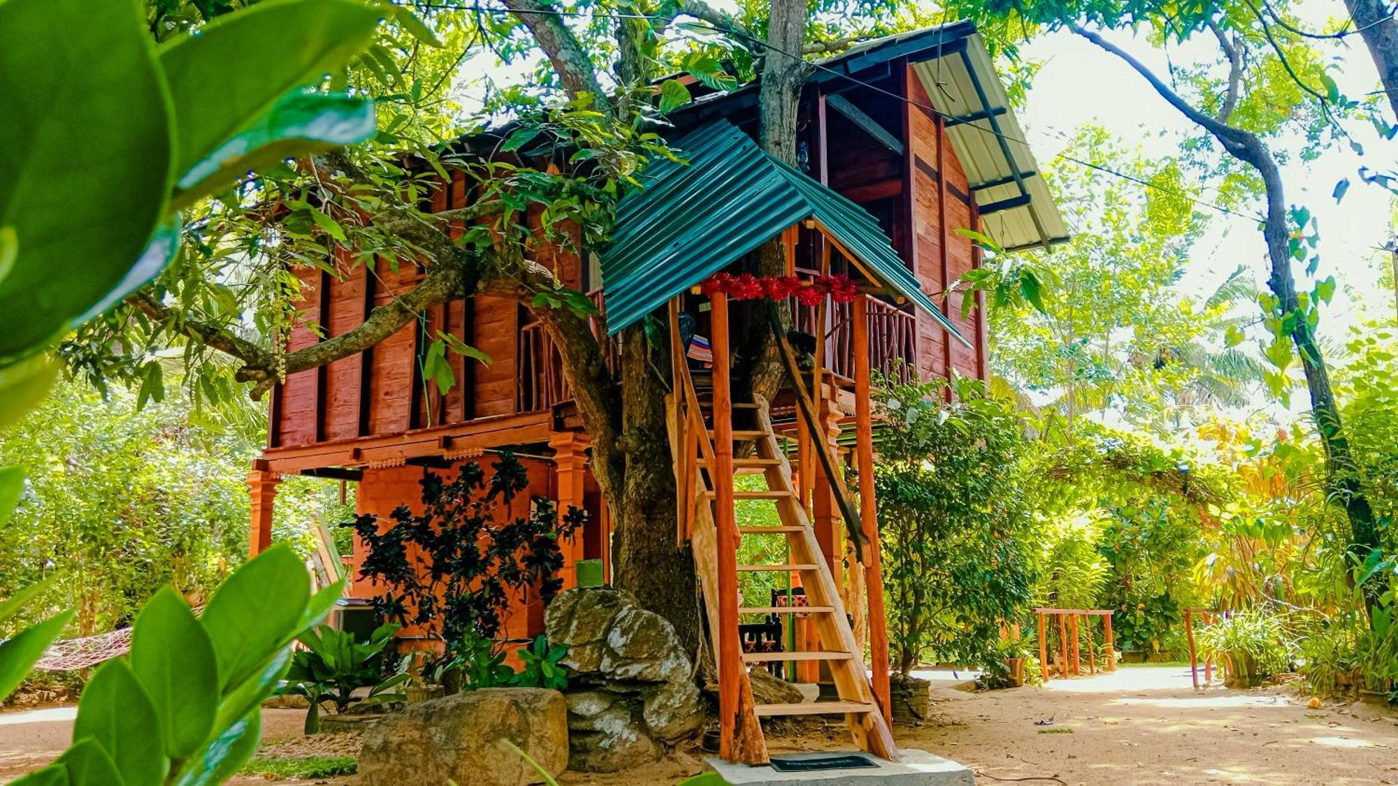 Sigiri Sky Home & Treehouse Sigiriya Exteriör bild