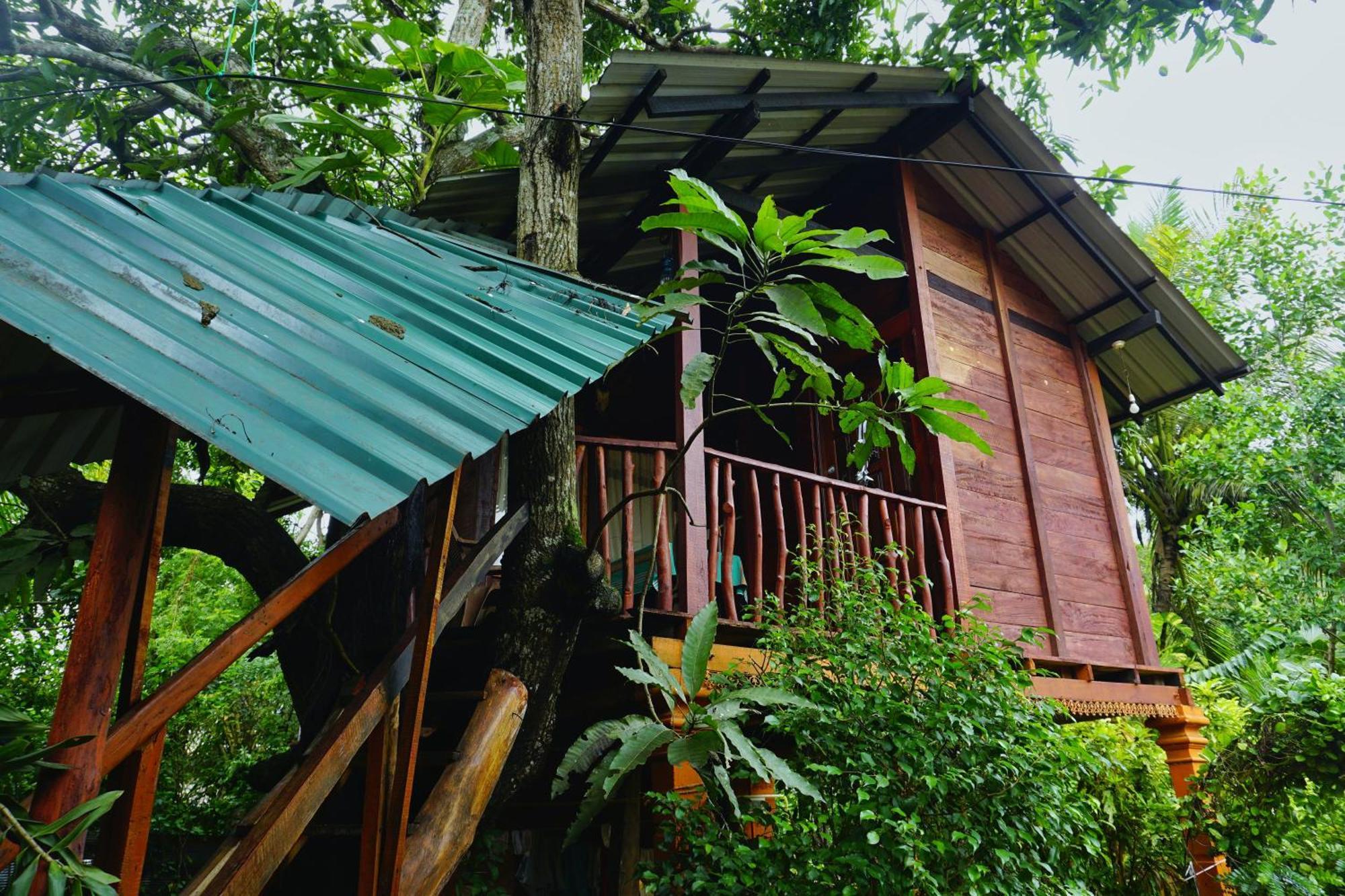 Sigiri Sky Home & Treehouse Sigiriya Exteriör bild