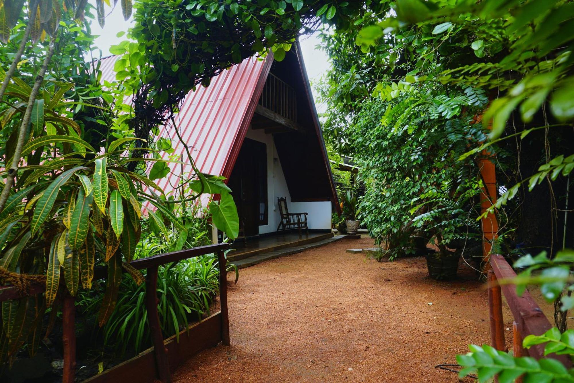 Sigiri Sky Home & Treehouse Sigiriya Exteriör bild