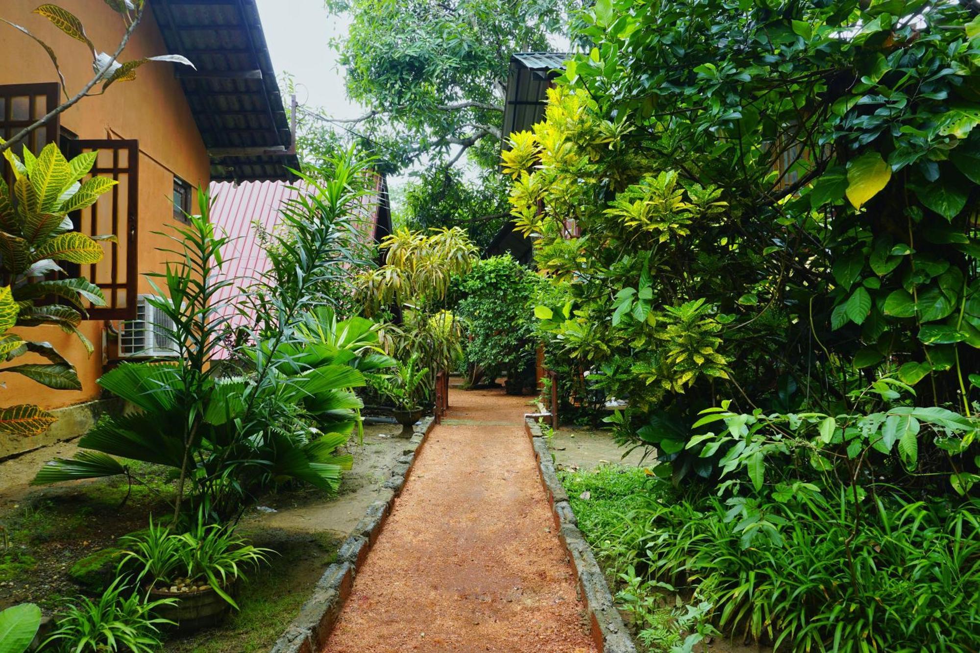 Sigiri Sky Home & Treehouse Sigiriya Exteriör bild